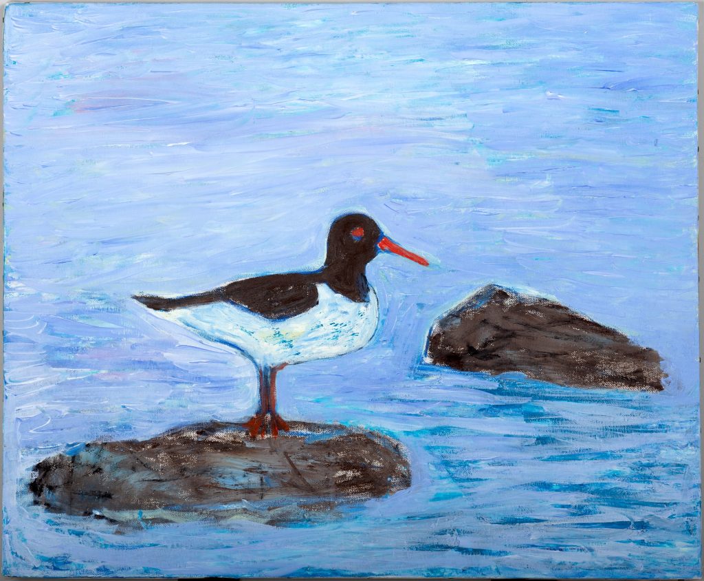 Oystercatcher on the Rock, painting by Ukrainian artist Alvi Siren