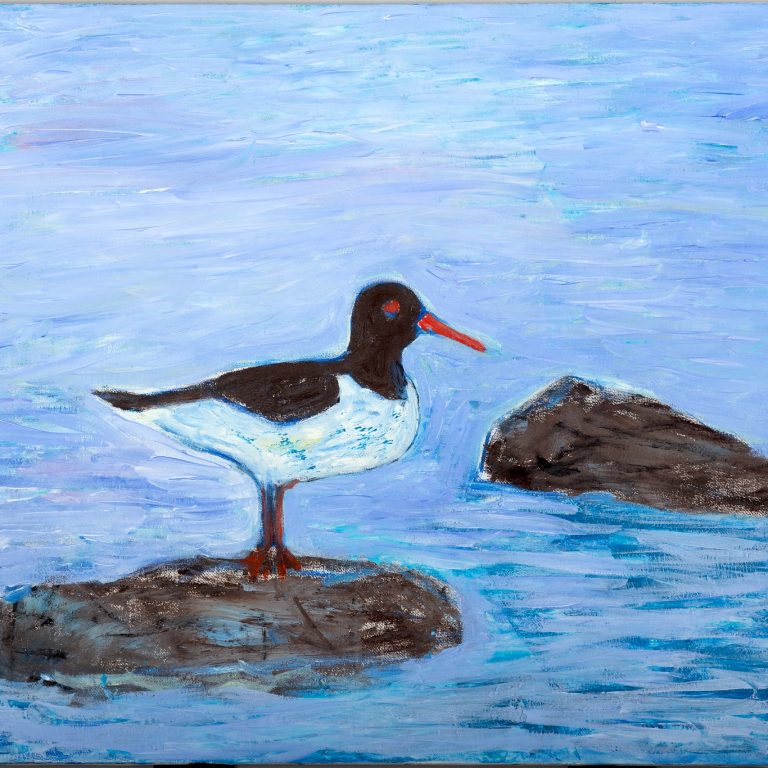 Oystercatcher on the Rock, painting by Ukrainian artist Alvi Siren