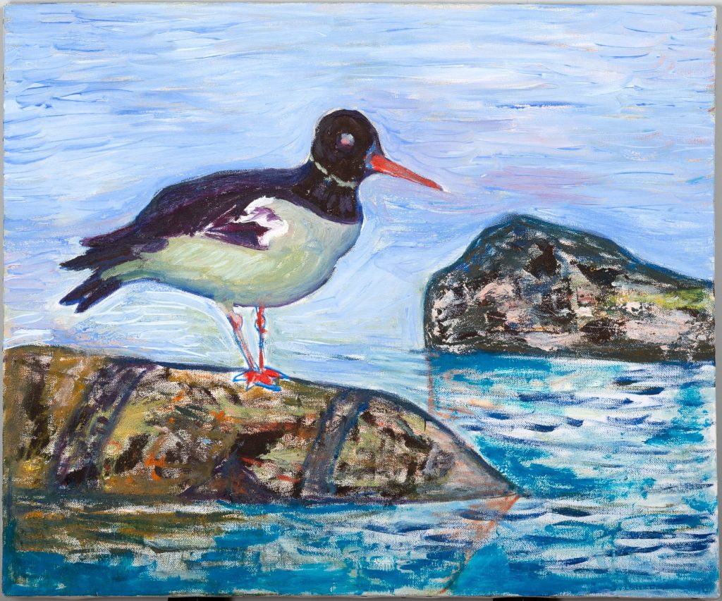 Oystercatcher by the Water, painting by Ukrainian artist Alvi Siren