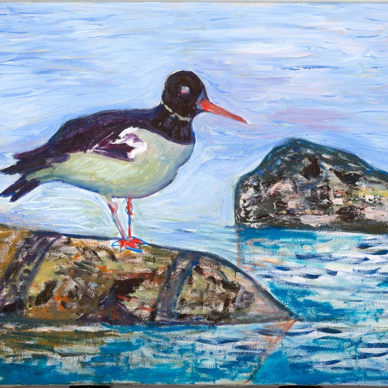 Oystercatcher by the Water, painting by Ukrainian artist Alvi Siren